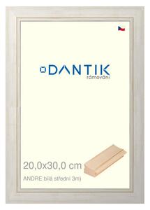 DANTIK rám na obraz 20x30 | ANDRE Bílá střední (Sklo Čiré)