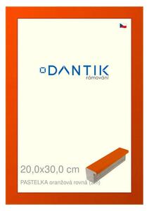 DANTIK rám na obraz 20x30 | PASTELKA oranžová rovná (Sklo Čiré)