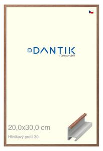 DANTIK rám na obraz 20x30 | ALU Dýha ořech lak matný (Sklo Čiré)