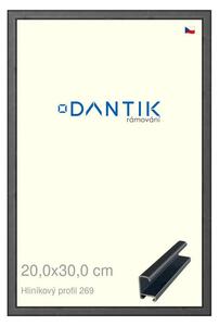 DANTIK rám na obraz 20x30 | ALU Šedá Oplal broušená (Sklo Čiré)