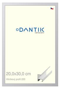 DANTIK rám na obraz 20x30 | ALU Bílá matná (Sklo Čiré)