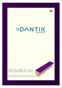 DANTIK rám na obraz 20x30 | PASTELKA fialová rovná (Sklo Čiré)