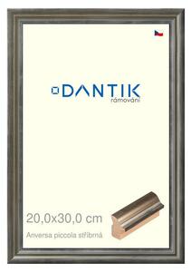 DANTIK rám na obraz 20x30 | ANIVERSA piccola stříbrná (Sklo Čiré)