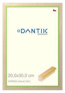 DANTIK rám na obraz 20x30 | CARINAzelená (Sklo Čiré)