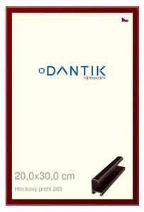 DANTIK rám na obraz 20x30 | ALU Červená Rubin broušená (Sklo Čiré)