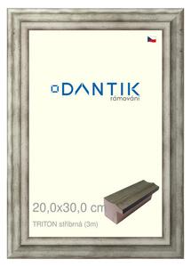 DANTIK rám na obraz 20x30 | TRITON stříbrná (Sklo Čiré)