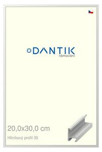 DANTIK rám na obraz 20x30 | ALU Bílá matná (Sklo Čiré)