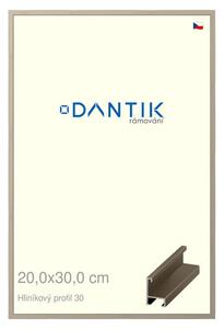 DANTIK rám na obraz 20x30 | ALU champagne (Sklo Čiré)