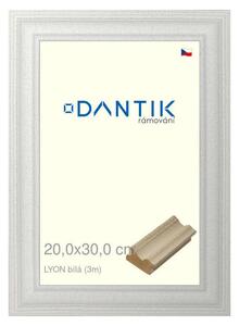 DANTIK rám na obraz 20x30 | LYON Bílá (Sklo Čiré)