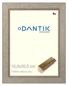 DANTIK rám na obraz 15x20 | TOMAS stříbrná (Sklo Čiré)
