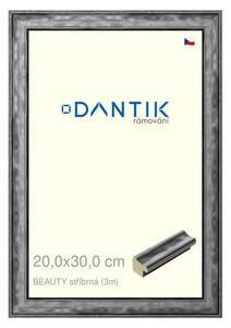DANTIK rám na obraz 20x30 | BEAUTY stříbrná (Sklo Čiré)