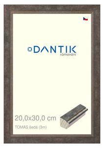 DANTIK rám na obraz 20x30 | TOMAS šedá (Sklo Čiré)