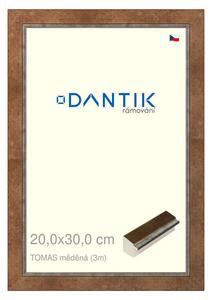 DANTIK rám na obraz 20x30 | TOMAS měděná (Sklo Čiré)