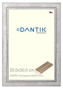 DANTIK rám na obraz 20x30 | ANDRE champagne střední (Sklo Čiré)