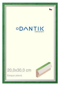 DANTIK rám na obraz 20x30 | EVOQUE zelená (Sklo Čiré)