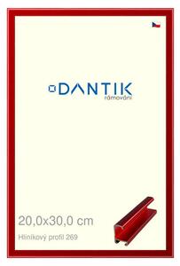 DANTIK rám na obraz 20x30 | ALU Červená Trumalin broušená (Sklo Čiré)