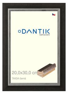 DANTIK rám na obraz 20x30 | TAIGA černá (Sklo Čiré)