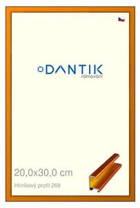 DANTIK rám na obraz 20x30 | ALU Oranžová Citrin broušená (Sklo Čiré)