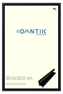 DANTIK rám na obraz 20x30 | ALU Černá matná (Sklo Čiré)