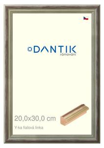 DANTIK rám na obraz 20x30 | Y-ka fialová linka (Sklo Čiré)