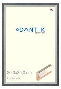DANTIK rám na obraz 20x30 | EVOQUE šedá (Sklo Čiré)