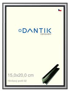 DANTIK rám na obraz 15x20 | ALU Šedá leská (Sklo Čiré)