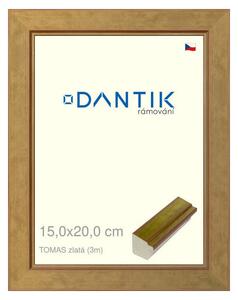 DANTIK rám na obraz 15x20 | TOMAS zlatá (Sklo Čiré)