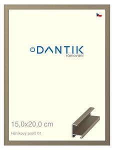 DANTIK rám na obraz 15x20 | ALU champagne (Sklo Čiré)