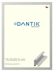 DANTIK rám na obraz 15x20 | ALU Stříbrná matná (Sklo Čiré)