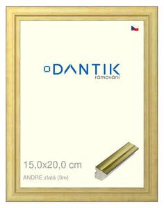 DANTIK rám na obraz 15x20 | ANDRE zlatá (Sklo Čiré)