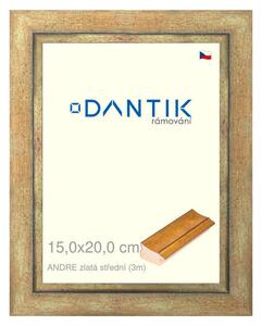 DANTIK rám na obraz 15x20 | ANDRE zlatá střední (Sklo Čiré)