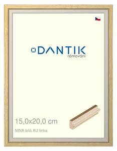 DANTIK rám na obraz 15x20 | NINA bílá AUlinka (Sklo Čiré)