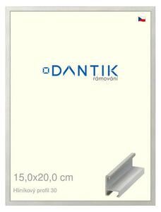 DANTIK rám na obraz 15x20 | ALU Dýha barevná šedá světlá (Sklo Čiré)