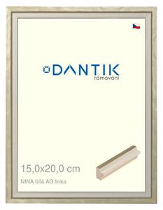DANTIK rám na obraz 15x20 | NINA bílá AGlinka (Sklo Čiré)