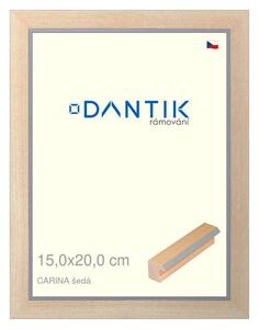 DANTIK rám na obraz 15x20 | CARINA šedá (Sklo Čiré)