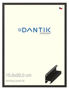DANTIK rám na obraz 15x20 | ALU Dýha černá (Sklo Čiré)