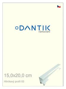 DANTIK rám na obraz 15x20 | ALU Bílá matná (Sklo Čiré)