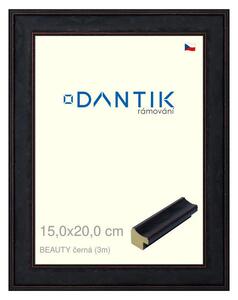 DANTIK rám na obraz 15x20 | BEAUTY černá (Sklo Čiré)