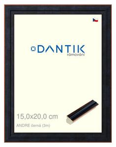 DANTIK rám na obraz 15x20 | ANDRE černá (Sklo Čiré)