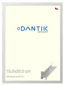 DANTIK rám na obraz 15x20 | ALU Stříbrná lesklá (Sklo Čiré)