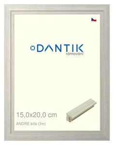 DANTIK rám na obraz 15x20 | ANDRE Bílá (Sklo Čiré)