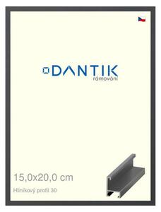 DANTIK rám na obraz 15x20 | ALU Dýha barevná šedá tmavá (Sklo Čiré)