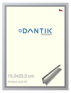 DANTIK rám na obraz 15x20 | ALU Stříbrná matná (Sklo Čiré)