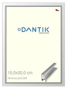 DANTIK rám na obraz 15x20 | ALU Stříbrná lesklá (Sklo Čiré)