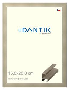 DANTIK rám na obraz 15x20 | ALU champagne (Sklo Čiré)