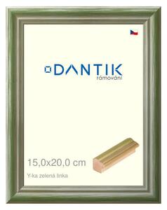 DANTIK rám na obraz 15x20 | Y-ka zelená linka (Sklo Čiré)