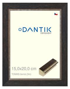 DANTIK rám na obraz 15x20 | TOMAS černá (Sklo Čiré)