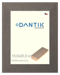 DANTIK rám na obraz 15x20 | ATHINA šedá (Sklo Čiré)