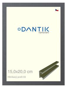 DANTIK rám na obraz 15x20 | ALU Platina matná (Sklo Čiré)