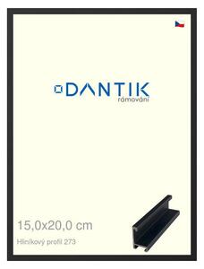 DANTIK rám na obraz 15x20 | ALU Černá matná (Sklo Čiré)